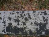image of grave number 390468